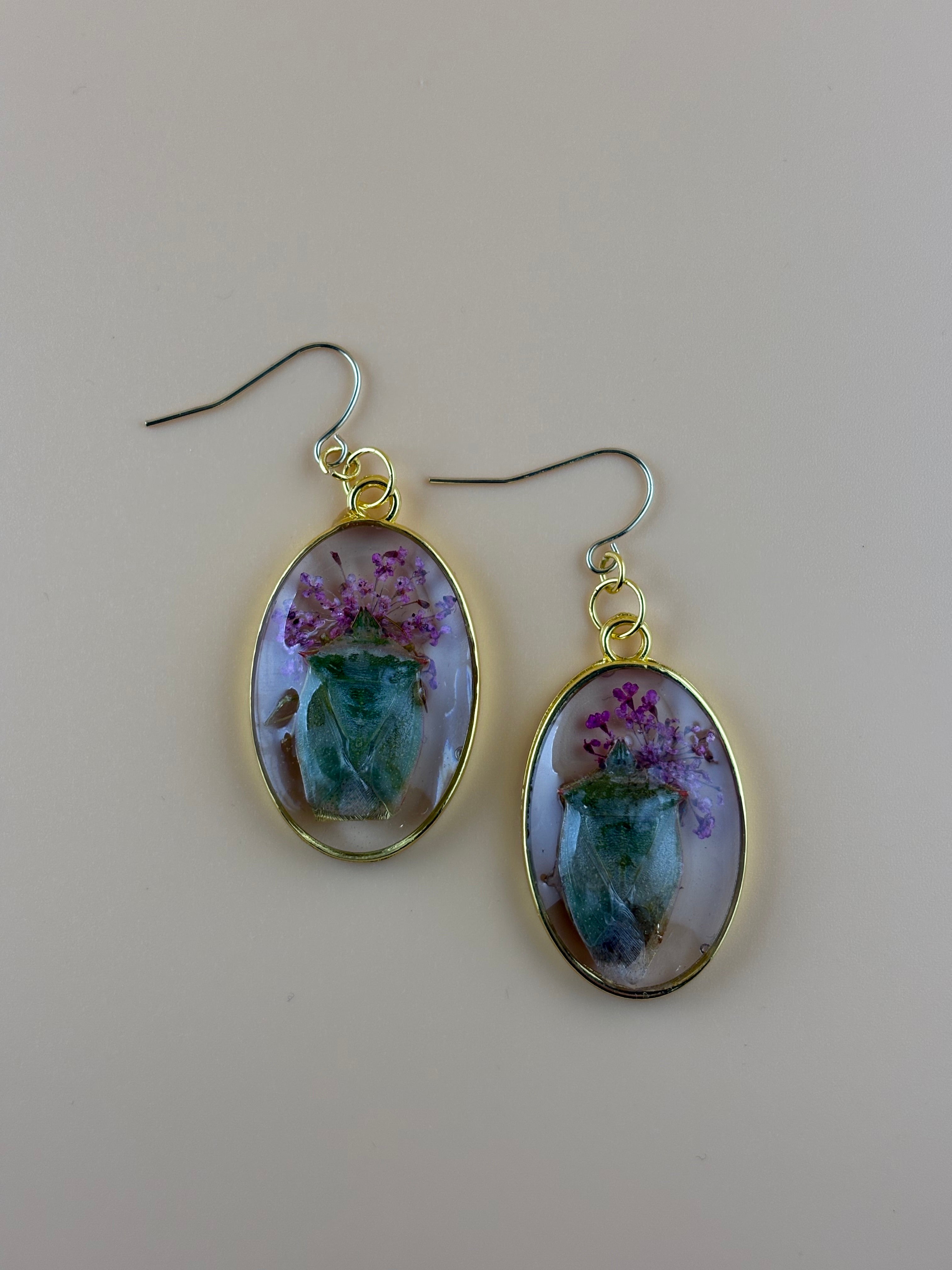 Preserved Beetle Earrings