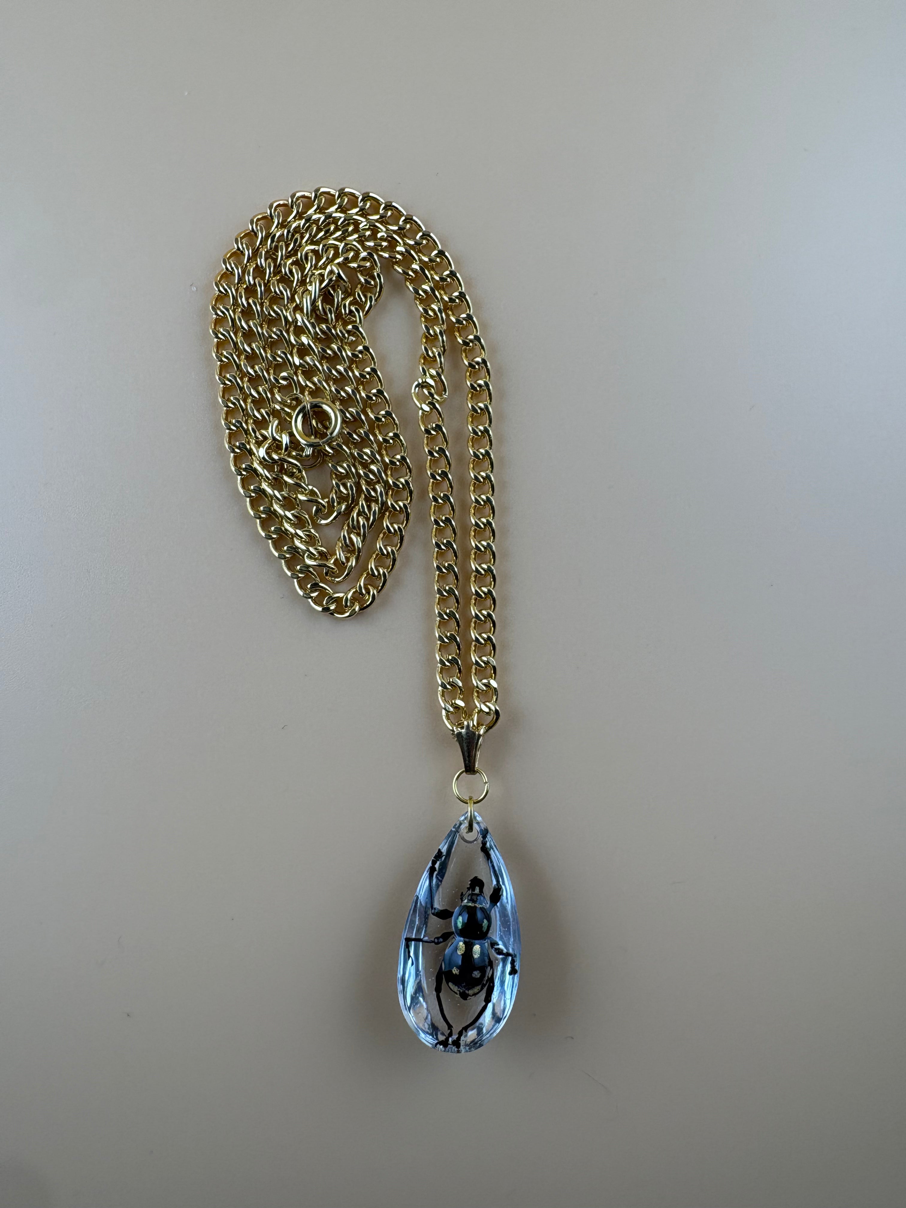 Tear Drop Weevil Beetle Pendant